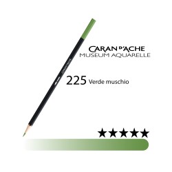 225 - Caran d'Ache matita acquerellabile Museum Verde muschio