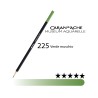 225 - Caran d'Ache matita acquerellabile Museum Verde muschio