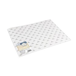 Canson Aquarelle Bianco, confezione da 25 fogli, cm 50X70, Grana Fine, 300gr/Mq