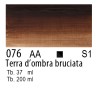 076 - Winsor & Newton Olio Winton Terra d'ombra bruciata