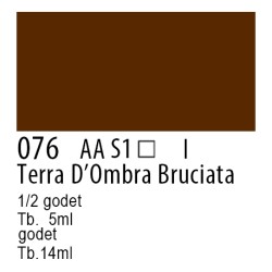 076 - Winsor & Newton Professional Terra d'ombra bruciata