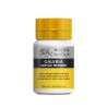 Pasta Modellante Densa Lavorabile Winsor & Newton Galeria 250ml