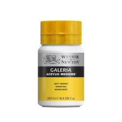 Vernice Opaca Winsor & Newton Galeria 250ml