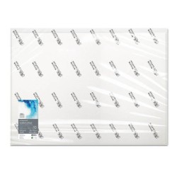 Winsor & Newton Acquerello Professional, confezione da 10 fogli, cm 56x76, Grana Fine, 300gr/Mq