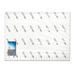 Winsor & Newton Acquerello Professional, confezione da 10 fogli, cm 56x76, Grana Satinata, 300gr/Mq