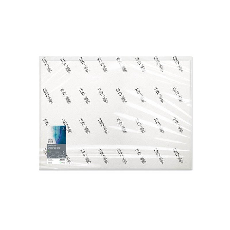 Winsor & Newton Acquerello Professional, confezione da 10 fogli, cm 56x76, Grana Torchon, 300gr/Mq