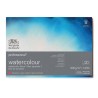 Winsor & Newton Acquerello Professional, Blocco Collato 4 lati, 20 Fogli, Grana Satinata, 300gr/Mq