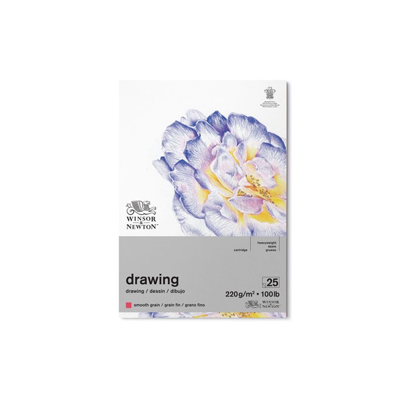 Winsor & Newton Disegno, Blocco Collato 1 lato, 25 Fogli, Grana Fine, 220gr/Mq