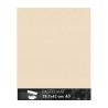 Clairefontaine Pastelmat Mais, confezione da 5 fogli, cm 29,7x42 (A3), 360gr/Mq