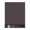 Clairefontaine Pastelmat Marrone, confezione da 5 fogli, cm 29,7x42 (A3), 360gr/Mq