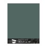 Clairefontaine Pastelmat Verde chiaro, confezione da 5 fogli, cm 29,7x42 (A3), 360gr/Mq