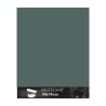 Clairefontaine Pastelmat Verde chiaro, confezione da 5 fogli, cm 50x70, 360gr/Mq