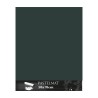 Clairefontaine Pastelmat Verde scuro, confezione da 5 fogli, cm 50x70, 360gr/Mq