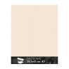 Clairefontaine Pastelmat Beige, confezione da 5 fogli, cm 29,7x42 (A3), 360gr/Mq