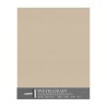 Clairefontaine Pastelgrain Sabbia, confezione da 5 fogli, cm 50x70, 360gr/Mq