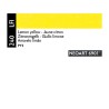 240 - Caran d'Ache Pastello Neoart 6901 Giallo limone