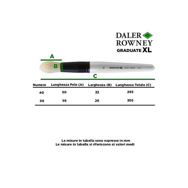 Daler Rowney Graduate XL Pennello in Setola Naturale a Punta Tonda, Manico Corto