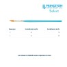 Princeton Select Serie n.P3750 pennello sintetico a lingua di gatto a punta, manico corto