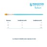 Princeton Select Serie n.P3750 pennello sintetico a lingua di gatto dentellato, manico corto