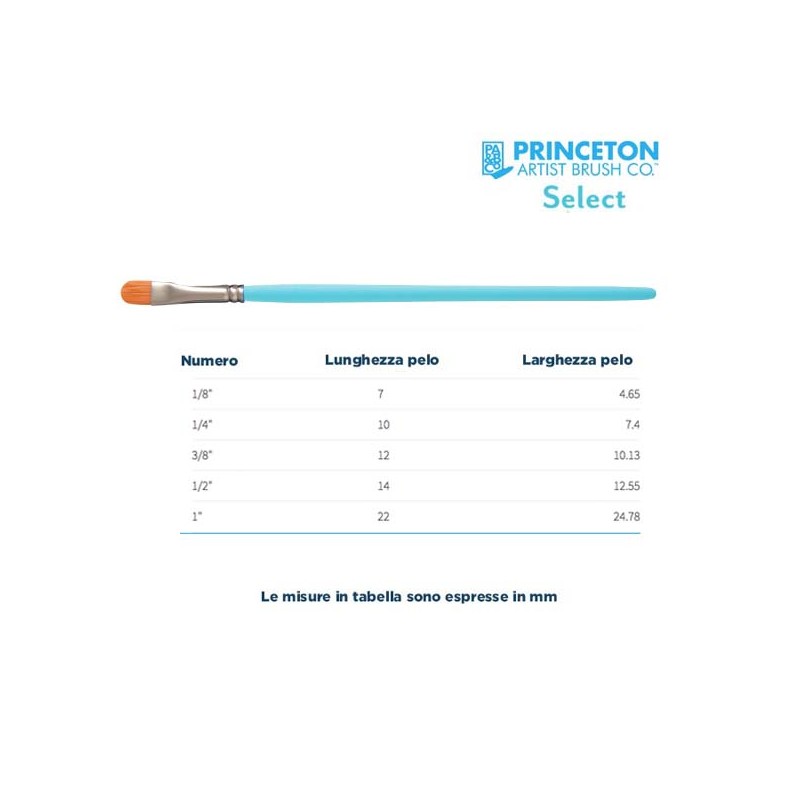 Princeton Select Serie n.P3750 Bombasino corto sintetico, manico corto