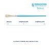 Princeton Select Serie n.P3750 bombasino lunar sintetico, manico corto