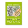 Fabriano Disegno Ecologico per Artisti, blocco 80 fogli, cm 21x29,7, grana naturale, 120 gr/mq