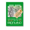Fabriano Disegno Ecologico per Artisti, blocco 50 fogli, cm 21x29,7, grana naturale, 200 gr/mq