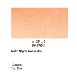 224 - Talens Van Gogh Acquerello Giallo Napoli Rossasstro