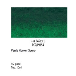 645 - Talens Van Gogh Acquerello Verde Hooker Scuro