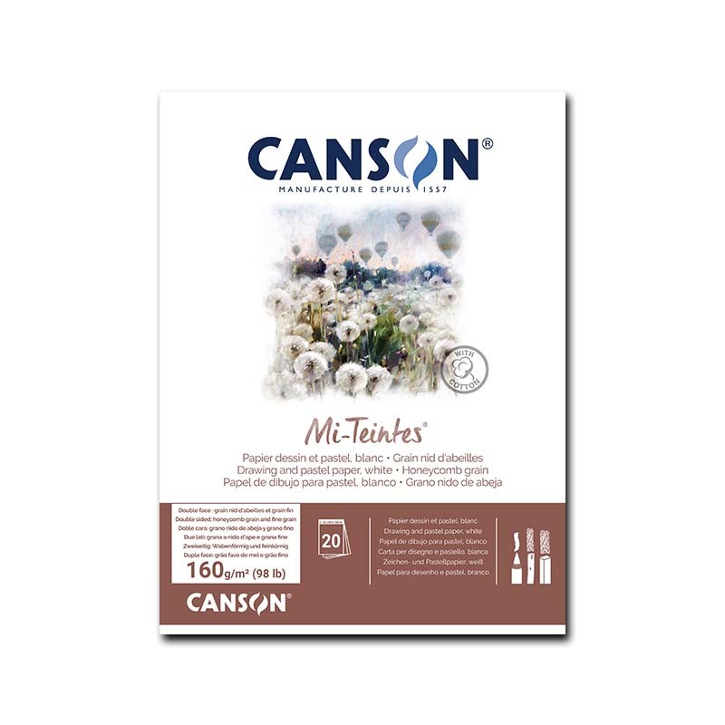 Canson Mi-Teintes, Blocco collato, Bianco, 20 Fogli, Grana Nido d'ape e Grana Fine, 160gr/Mq