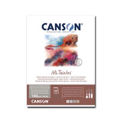 Canson Mi-Teintes, Blocco collato, Toni Grigi, 20 Fogli, Grana Nido d'ape e Grana Fine, 160gr/Mq