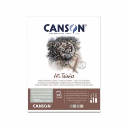 Canson Mi-Teintes, Blocco collato, Toni Screziati, 20 Fogli, Grana Nido d'ape e Grana Fine, 160gr/Mq