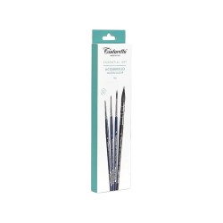 Set 4 Pennelli Tintoretto per Acquerello Pro Tecniche di Sviluppo e Dettaglio