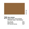 25 - Ferrario Olio Van Dyck Ocra romana