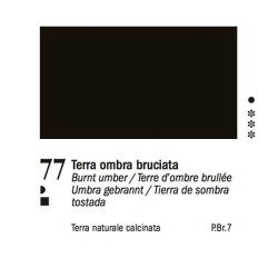 77 - Ferrario Olio Van Dyck Terra d'ombra bruciata