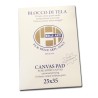 CM.25X35 - P.E.R. Belle Arti (Pieraccini) Blocco di tela a preparazione universale, 10 Fogli, Grana Media, Misto cotone 335gr/mq