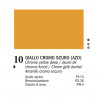 10 - Ferrario Olio Van Dyck Giallo cromo scuro - tubo 60ml
