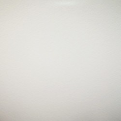 Arches Aquarelle Bianco Naturale, confezione da 5 fogli, cm 56x76, grana torchon, 640gr/mq, dettaglio grana