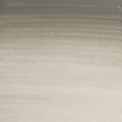 217 - Winsor & Newton Professional Grigio di Davy