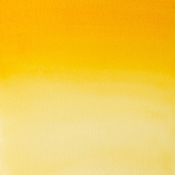 319 - Winsor & Newton Professional Giallo Indiano