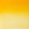 319 - Winsor & Newton Professional Giallo Indiano