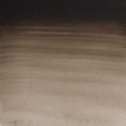 609 - Winsor & Newton Professional Seppia