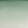 637 - Winsor & Newton Professional Terra verde