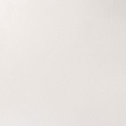 644 - Winsor & Newton Professional Bianco di titanio (bianco opaco)