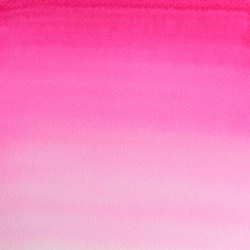 448 - Winsor & Newton Professional Fiore di rosa opera