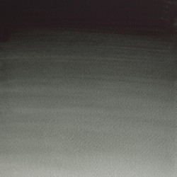 460 - Winsor & Newton Professional Verde di perilene