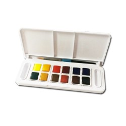 Daler Rowney Aquafine acquerelli Travel set 12 mezzi godet interno