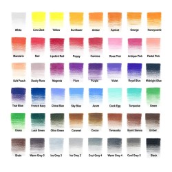 Winsor & Newton Studio Collection scatola metallo 48 matite colorate dettaglio colori