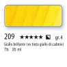 209 - Mussini giallo brillante