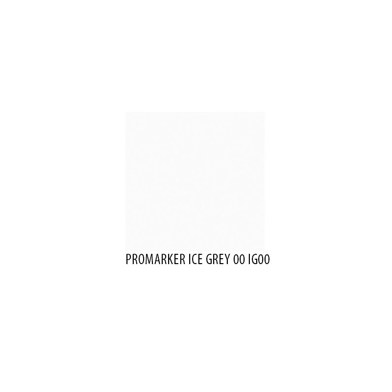 Promarker Ice Grey 00 IG00